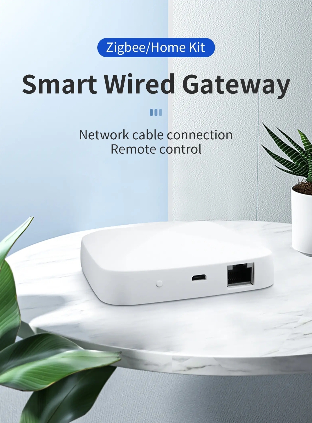 Zigbee 3.0 Home-Kit Wired Gateway - Image 3