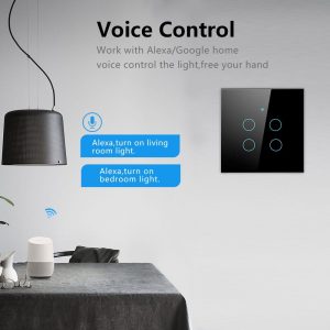 WiFi 2 Gang Smart Switch