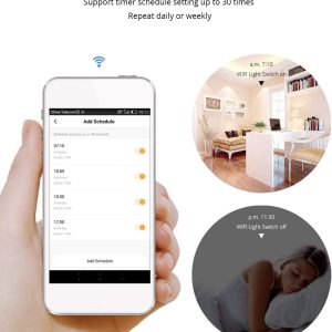 WiFi 1 Gang Smart Switch